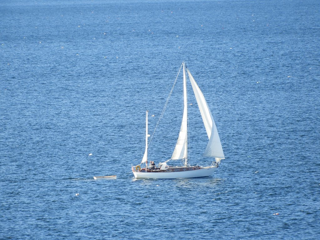 Sailboat