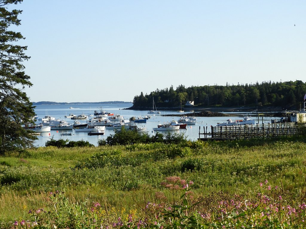 A Maine Harbor